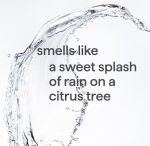 foaming hand wash – sweet water, 10 fl oz - Image 4
