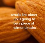 squirt + mop hardwood floor cleaner – almond, 25 fl oz - Image 4