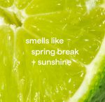 dish soap – lime + sea salt, 18 fl oz - Image 4
