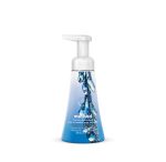 foaming hand wash – frost + flurry, 10 fl oz