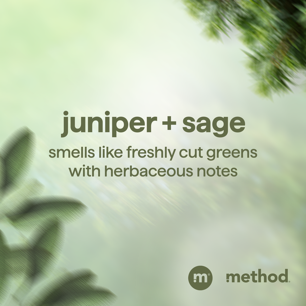 men 2-in-1 shampoo + conditioner – juniper + sage, 14 fl oz - Image 7