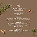 aluminum free deodorant – cedar + cypress, 2.65 oz - Image 4