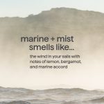 body wash – marine + mist, 18 fl oz - Image 4